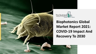 Biophotonics Market Key Trends, Global Insights, Industry Demand Ad Growth 2025