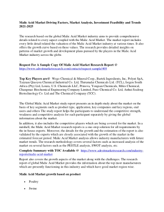 Malic Acid Market