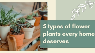 5 flowering plants every home deserves to have