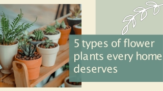 5 flowering plants every home deserves