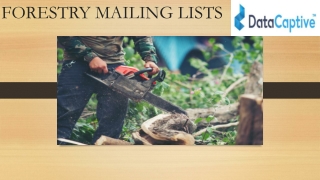 FORESTRY MAILING LISTS PROVIDERS