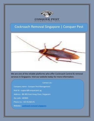 Cockroach Removal Singapore | Conquer Pest