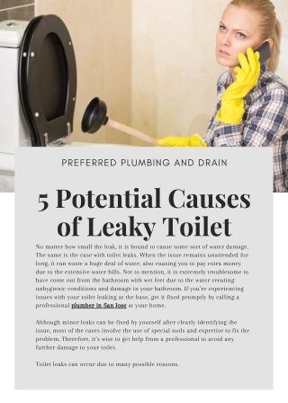5 Potential Causes of Leaky Toilet