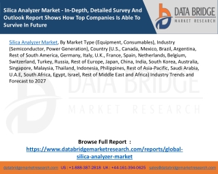 Silica Analyzer Market - In-Depth, Detailed Survey And Outlook Report Shows How Top Companies Is Able To Survive In Futu