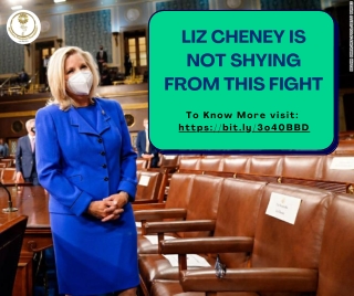 Liz Cheney is not shying from this fight, Michigan News Agency in Battle Creek