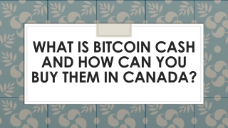 What Is Bitcoin Cash And How Can You Buy Them In Canada