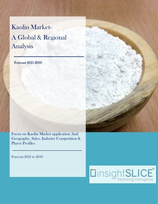Kaolin Market- Global Market Share, Trends, Analysis and Forecasts, 2020 - 2030