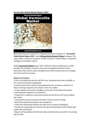 Global Vermiculite Market