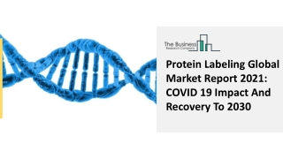 Protein Labeling Market Manufacturers, Regions, Application Forecast 2021 – 2025