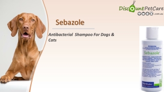 Buy Sebazole Shampoo For Dogs & Cats Online - DiscountPetCare