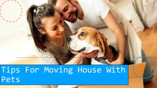 Tips & Tricks For Moving House With Pets