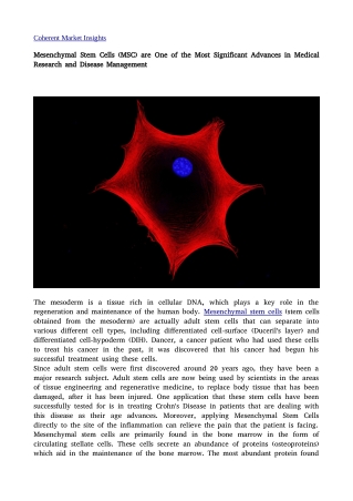 Mesenchymal Stem Cells7