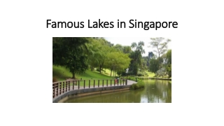 Famous Lakes in Singapore