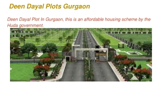 Deen Dayal Plots Gurgaon