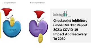 Checkpoint Inhibitors Market Growth, Industry Overview, Global Size And Insights