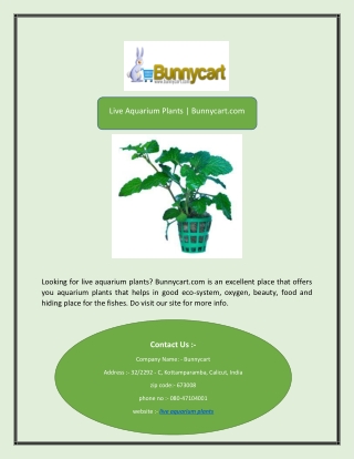 Live Aquarium Plants | Bunnycart.com
