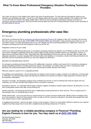 What To Understand About Professional Emergency Plumber Providers