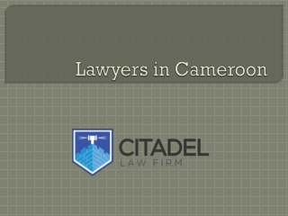 Lawyers in Cameroon