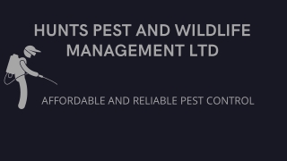 Pest Control Huntingdon