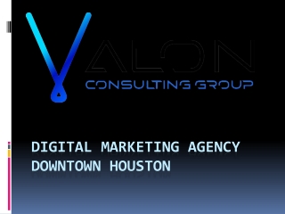 Digital Marketing Agency Downtown Houston