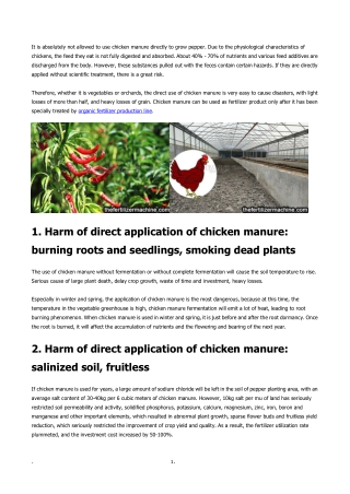 Can chicken manure be applied directly to grow pepper