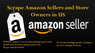 Scrape Amazon Sellers and Store Owners in US