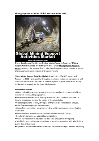 Global Mining Support Activities Market