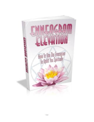 Enneagram Elevation