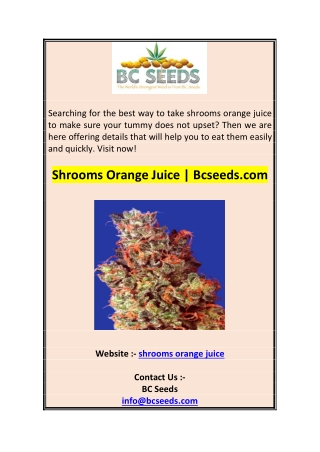 Shrooms Orange Juice  Bcseeds 0