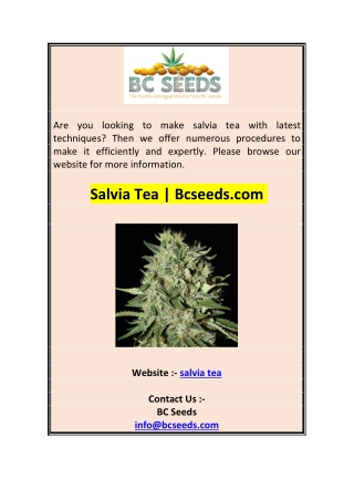Salvia Tea  Bcseeds 0