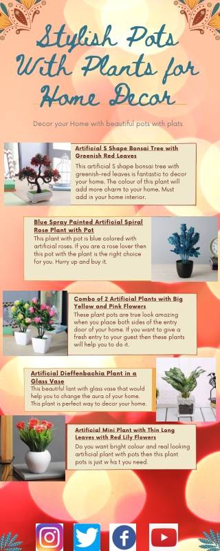 Get beautiful pots with plants online at Wooden Street