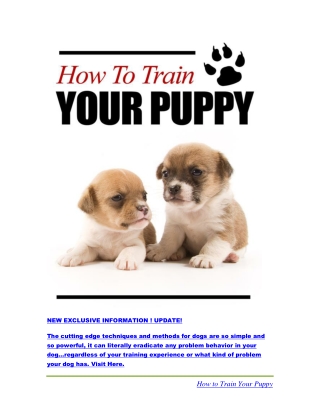 How To Train Your Puppy PDF eBook Free Download