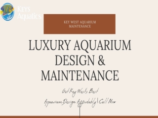 Key West’s Best Aquarium Design Team A Minute Away! Contact Now