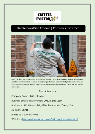 Rat Removal San Antonio | Critterevictortx.com