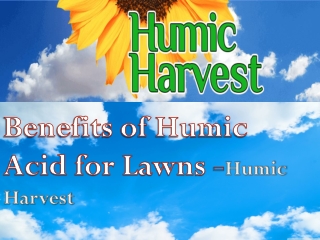 Benefits of Humic acid in Lawns