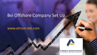 Bvi Offshore Company Set Up