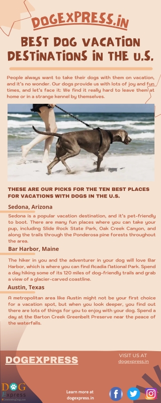 Best Dog Vacation Destinations in the U.S.