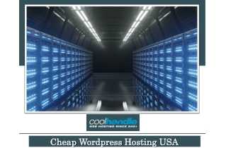Cheap Wordpress Hosting USA
