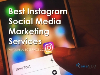 Best Instagram Social Media Marketing Services - www.anaseoservices.com