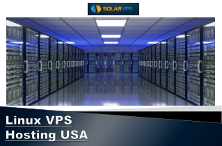 Linux VPS Hosting USA