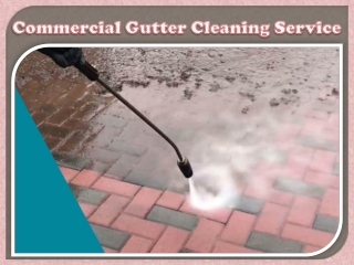 Commercial Gutter Cleaning Service