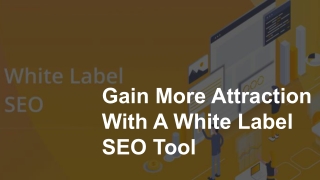Gain More Attraction With A White Label SEO Tool