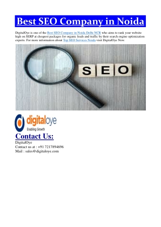 SEO Company in Noida Delhi NCR