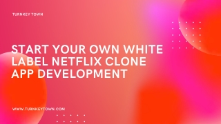 Start Your Own White Label Netflix Clone App Development
