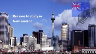 Reasons to study in New Zealand