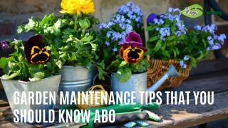 Garden Maintenance Tips That You Should Know About