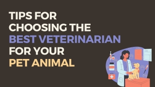 Tips for choosing the best veterinarian for your pet animal