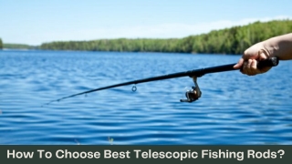 How To Choose Best Telescopic Fishing Rods?