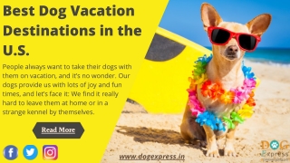 Best Dog Vacation Destinations in the U.S