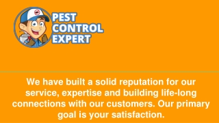 Affordable Pest Control Services - Pest Control Expert